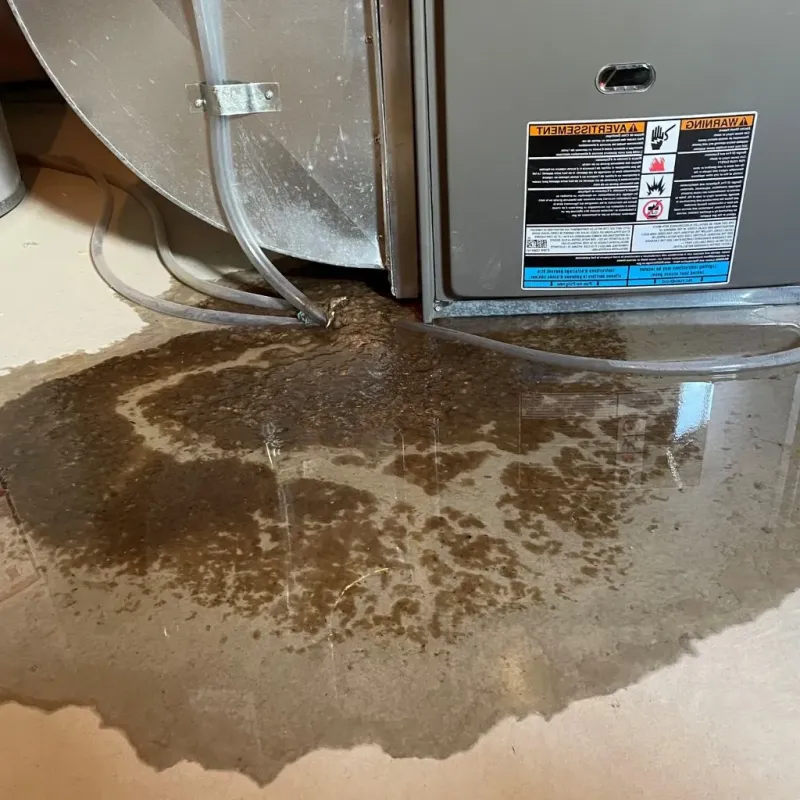 Pipe Burst and Leak Restoration in East Brookfield, MA