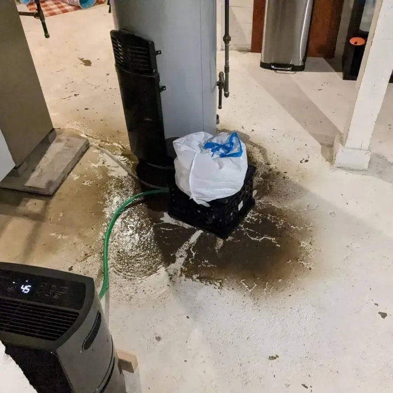 Sewage Backup Cleanup Service in East Brookfield, MA